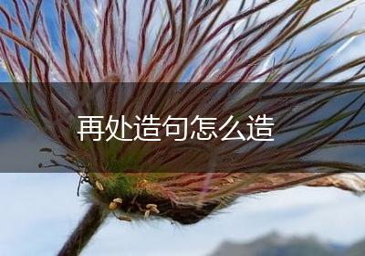 再处造句怎么造