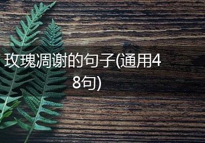 玫瑰凋谢的句子(通用48句)