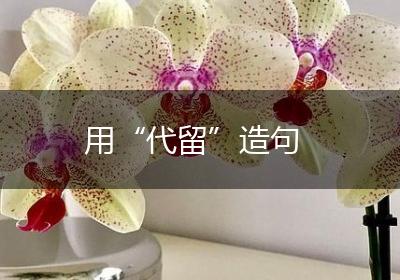 用“代留”造句