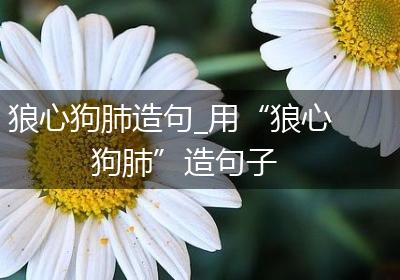 狼心狗肺造句_用“狼心狗肺”造句子