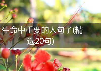 生命中重要的人句子(精选20句)