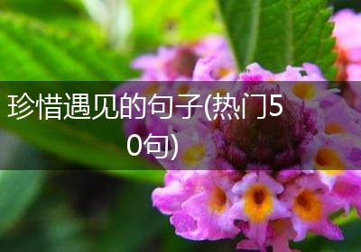 珍惜遇见的句子(热门50句)