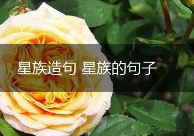 星族造句 星族的句子