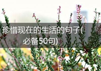 珍惜现在的生活的句子(必备50句)