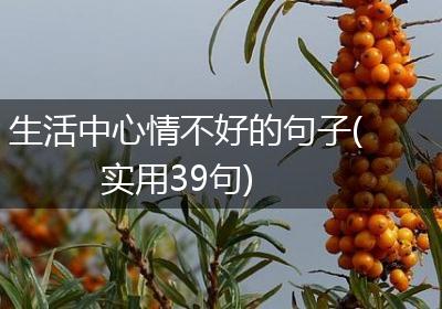 生活中心情不好的句子(实用39句)