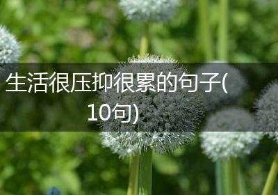 生活很压抑很累的句子(10句)