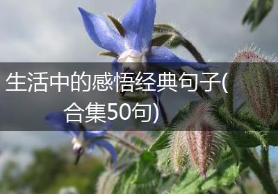 生活中的感悟经典句子(合集50句)