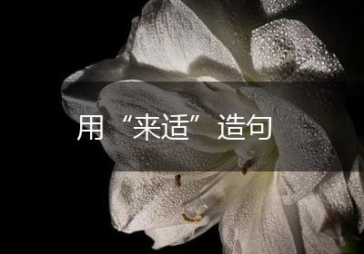 用“来适”造句