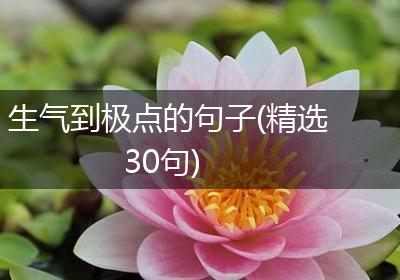 生气到极点的句子(精选30句)