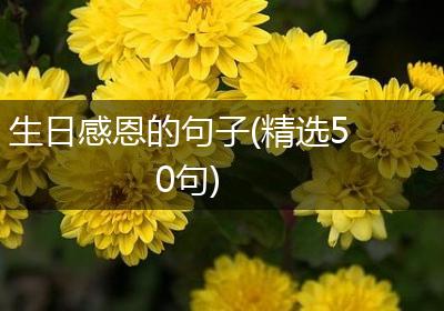 生日感恩的句子(精选50句)