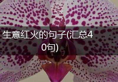 生意红火的句子(汇总40句)