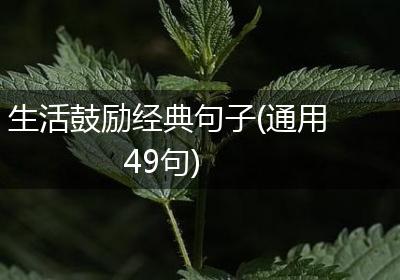 生活鼓励经典句子(通用49句)