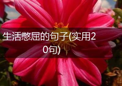 生活憋屈的句子(实用20句)