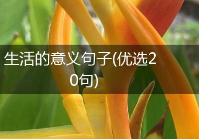 生活的意义句子(优选20句)