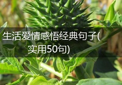 生活爱情感悟经典句子(实用50句)