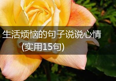 生活烦恼的句子说说心情(实用15句)