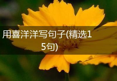 用喜洋洋写句子(精选15句)