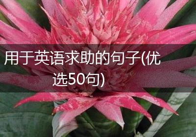 用于英语求助的句子(优选50句)