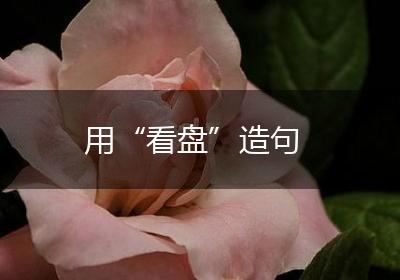 用“看盘”造句