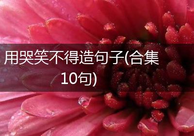 用哭笑不得造句子(合集10句)