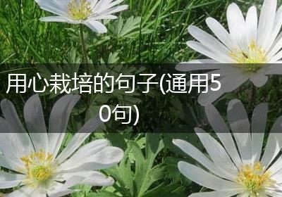 用心栽培的句子(通用50句)