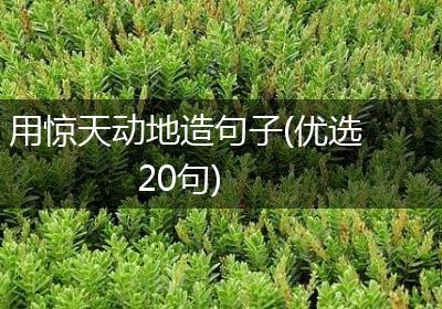 用惊天动地造句子(优选20句)