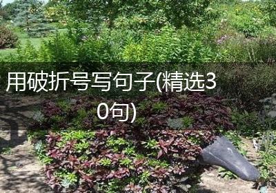 用破折号写句子(精选30句)