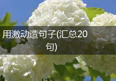 用激动造句子(汇总20句)