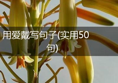 用爱戴写句子(实用50句)