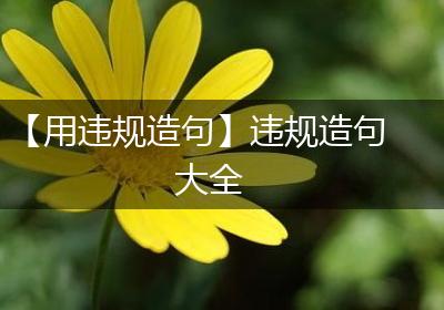 【用违规造句】违规造句大全