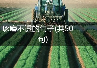 琢磨不透的句子(共50句)