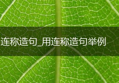 连称造句_用连称造句举例