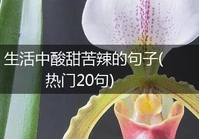 生活中酸甜苦辣的句子(热门20句)