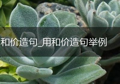和价造句_用和价造句举例