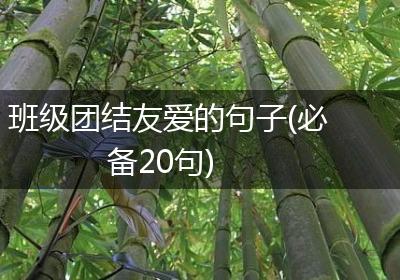 班级团结友爱的句子(必备20句)