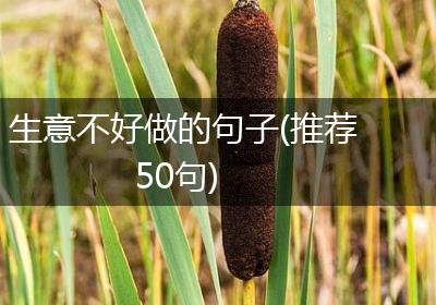 生意不好做的句子(推荐50句)
