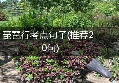 琵琶行考点句子(推荐20句)