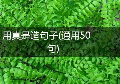 用真是造句子(通用50句)