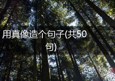 用真像造个句子(共50句)