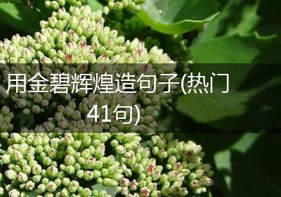 用金碧辉煌造句子(热门41句)