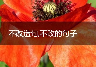 不改造句,不改的句子