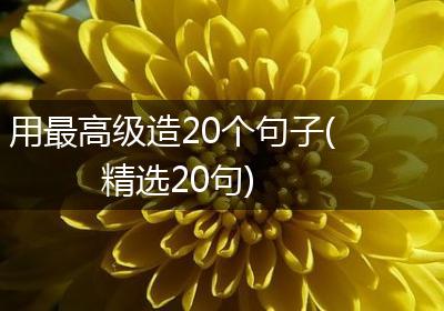 用最高级造20个句子(精选20句)
