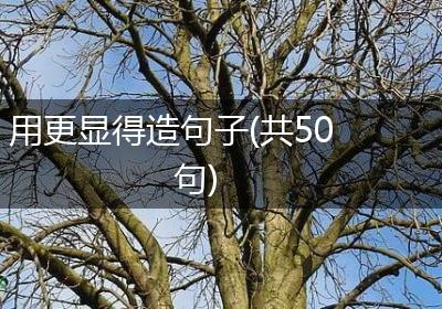 用更显得造句子(共50句)