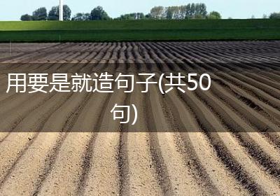 用要是就造句子(共50句)