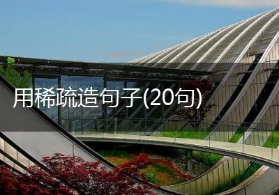 用稀疏造句子(20句)