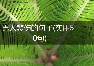 男人悲伤的句子(实用50句)