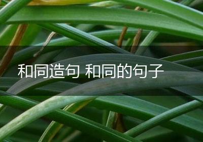 和同造句 和同的句子