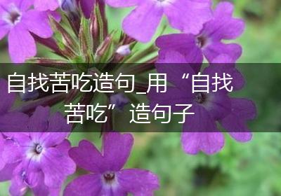自找苦吃造句_用“自找苦吃”造句子