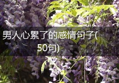 男人心累了的感情句子(50句)