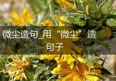 微尘造句_用“微尘”造句子